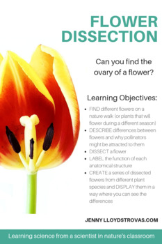 Preview of Flower Dissection - All About Flowers & How to Dissect Them