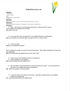 Preview of Flower Dissection Lab