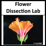 Flower Dissection Lab & Parts of a Flower Parts of a Plant