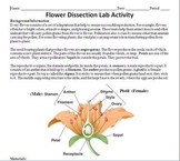 Flower Dissection Lab