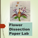 Flower Dissection Paper Lab