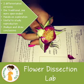 Preview of Flower or Plant Reproduction Dissection Lab