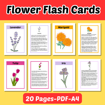 Preview of Spring Flowers-Flowers Flashcards