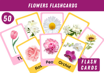 Preview of Flower Flash Cards - Printable PDF