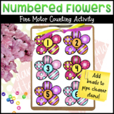 Numbered Flowers Fine Motor Counting Activity