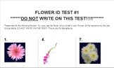 Flower ID Test #1