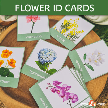 Preview of Flower Identification Cards | Flower Study | Flower Flash Cards | Flower Décor