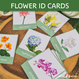 Flower Identification Cards | Flower Study | Flower Flash 