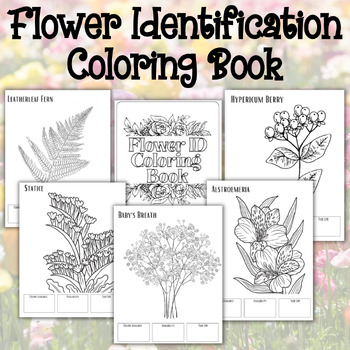 Preview of Flower Identification Coloring Book