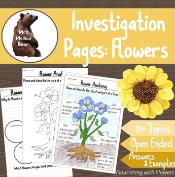Preview of Flower Investigation Pages: Project Notebook, Open Ended Writing Activities