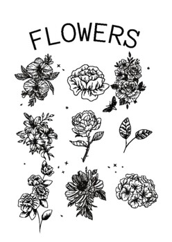 Flower KWL and coloring sheet by Classroom Coach | TPT