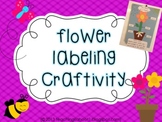 Flower Labeling Craftivity