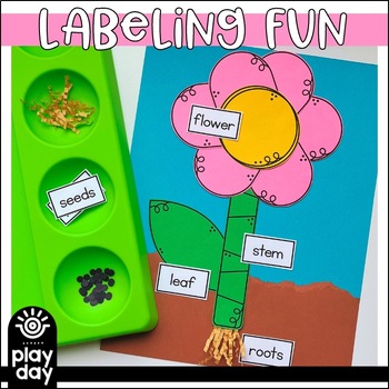 Flower Labeling | Parts of a Flower Craft | Parts of a Plant by playday