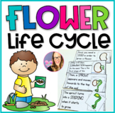 Flower Life Cycle