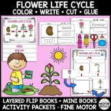 Flower Life Cycle- Layered Flip Book, Mini Book, Activity 