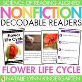 Flower Life Cycle of a Plant Differentiated Nonfiction Dec