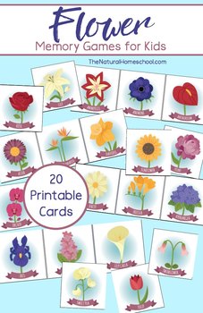 Preview of Flower Memory (Matching) Game (Recognition and Vocabulary Activities)