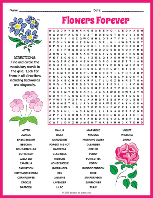 flower-word-search-puzzle-by-puzzles-to-print-teachers-pay-teachers