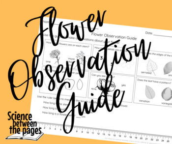 Preview of Flower Observation Guide