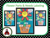 Flower Parts & Needs Labeling