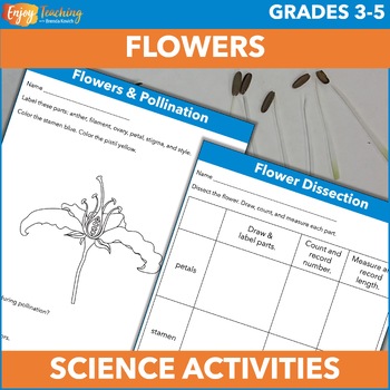 Preview of Flower Parts, Pollination Activities, Plant Dissection Lab - 3rd, 4th, 5th Grade