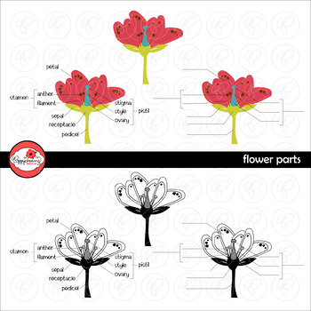 Preview of Flower Parts Science Diagram Clipart by Poppydreamz