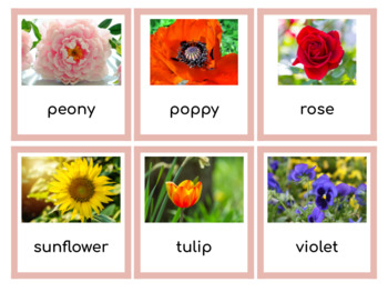 Flower Photo Picture Cards & Flash Cards (Montessori) by Inspire-Teach ...