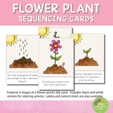 Flower Plant Life Cycle Sequencing Cards and Posters