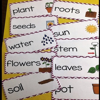 Flowers and Plants CHEVRON Vocabulary Cards by Little Learning Corner