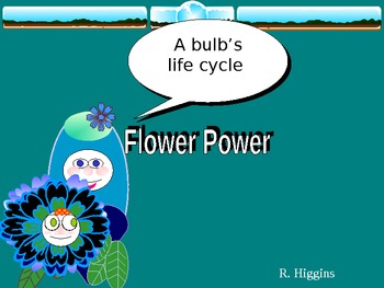 Preview of Flower Power: Life Cycle of a Bulb