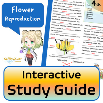 Preview of Flower Reproduction - Florida Science Interactive Study Guide