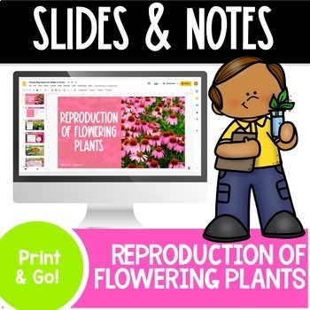 Preview of Flower Reproduction | Sexual Reproduction | Google Slides & Notes