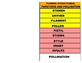 Flower Reproduction Structure and Function (YouTube Vodcas