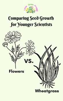 Preview of Flower Seed Growth, Preschool and Kindergarten Science, Plant Science, Graphing