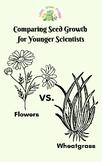 Flower Seed Growth, Preschool and Kindergarten Science, Pl