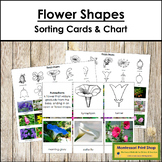Flower Shapes Sorting Cards & Control Charts (botany)