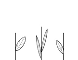 Flower Stem Template (paint or draw the flower petals)