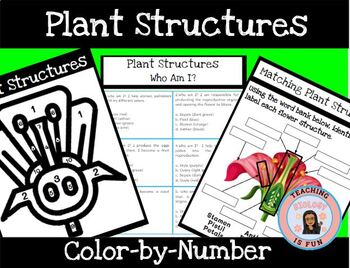 Preview of Flowering Parts of a Flower Structures Color-by-Number + Matching Activity