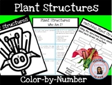 Flowering Parts of a Flower Structures Color-by-Number + M