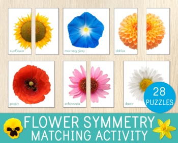 Preview of Flower Symmetry Puzzles, Matching Activity, Flower Identification, Spring