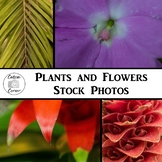 Nature, Plants, and Flowers Stock Photos for Personal or C
