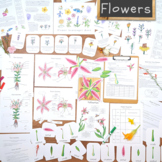 Flower Unit: botany and floral anatomy curriculum & materials