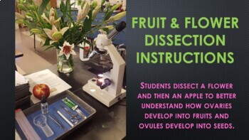 Preview of Flower and Fruit Dissection Labs