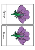 Flower nomenclature (3 part cards)