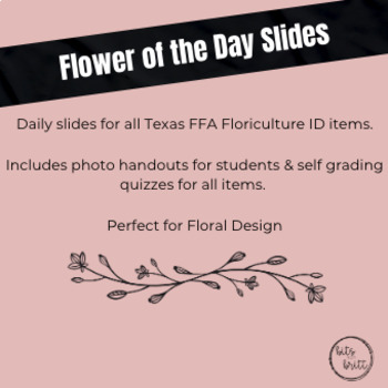 Preview of Flower of The Day Slides