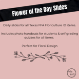 Flower of The Day Slides