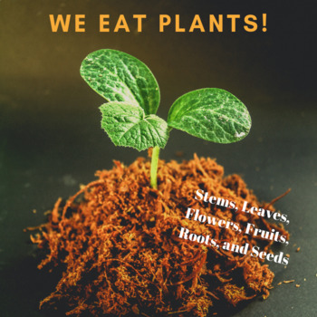 Parts of plants we eat - Stems, Leaves, Flowers, Fruits, Roots, and Seeds