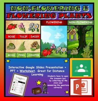 Preview of Flowering & Non-Flowering Plants: Google Slides, Distance Learning + Worksheet