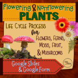 Flowering & Nonflowering (seed bearing & spores) Plant Rep