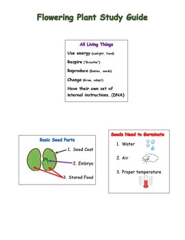 Preview of Flowering Plant Study Guide With Pictures